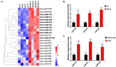 Lack of miR-379/miR-544 Cluster Resists High-Fat Diet-Induced Obesity and Prevents Hepatic Triglyceride Accumulation in Mice